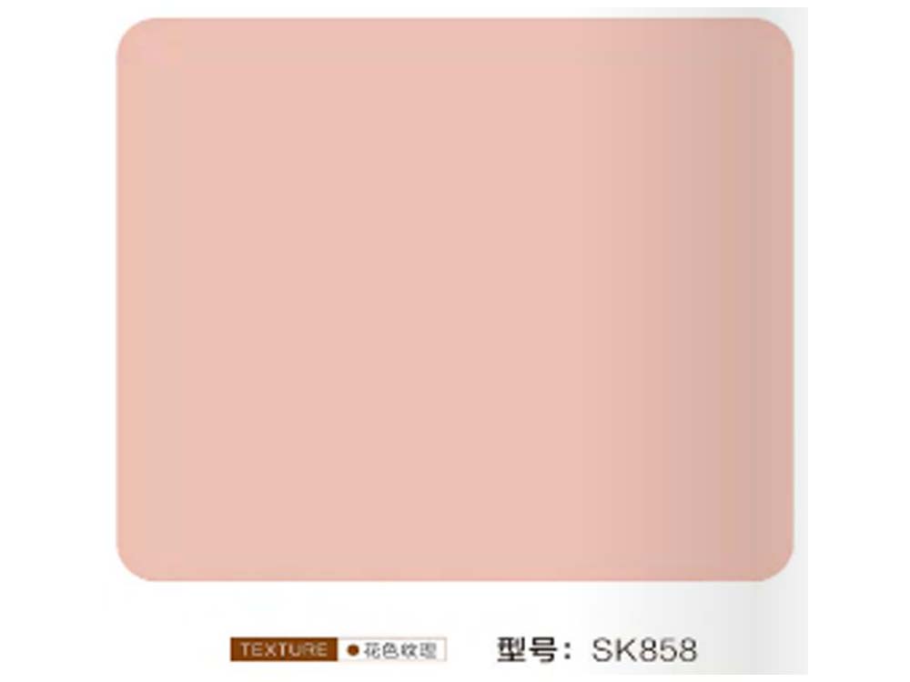 SK858