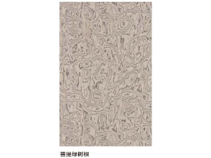 菩提绿树根