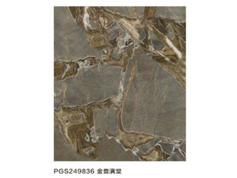 PGS249836金誉满堂