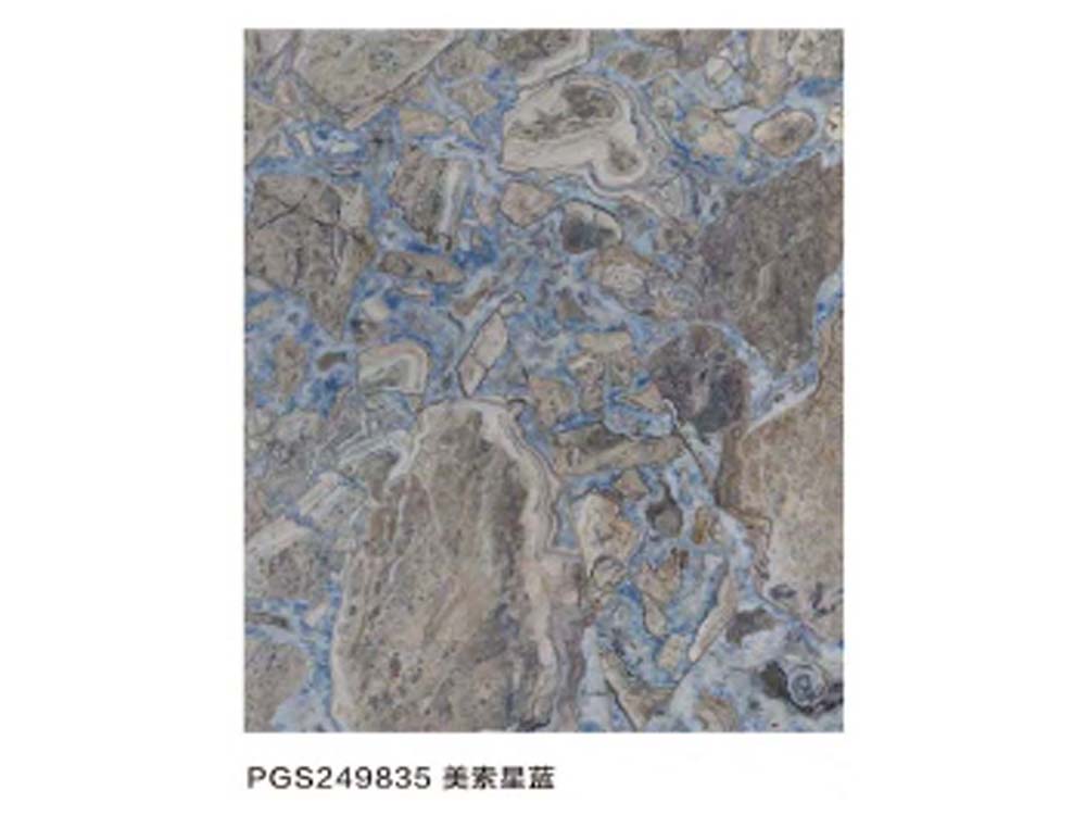 PGS249835美素星蕴