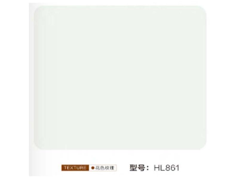 HL861